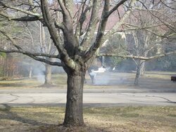 Neighbor burning leaves and grass