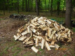 Pile of Pine