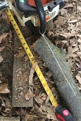 Log marking