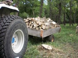 Load Limit firewood.jpg