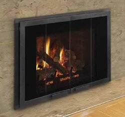 Gas Fireplace Insert, what would you install?