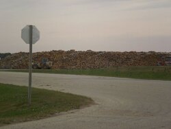 Giant wood piles.jpg