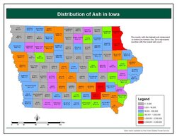 Iowa%20Ash%20Tree%20Distribution%202006%20map.jpg