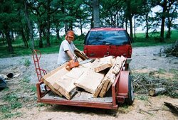 harvesting Pecan Wood 2nd trailer load.jpg