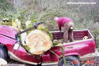 trucktree.jpg