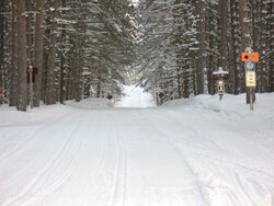Snowmobile Trail.jpg