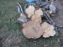 My wood pile 004.jpg