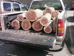 got free wood?