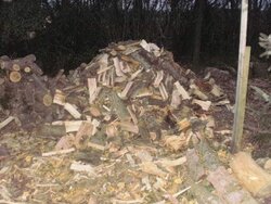 Second Update with pics -- A unique wood pile problem and the plans for a Canadian Thanksgiving week