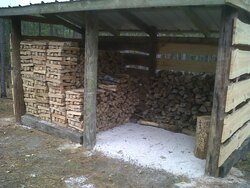 Filling up my new woodshed.... WARNING Manly content!