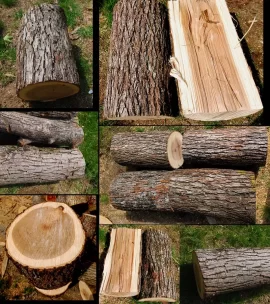 woodbutcher_00001.jpg