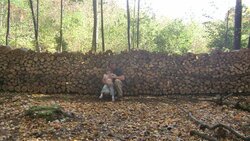 wood stacking idea im trying