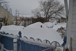 snow - 23.jpg