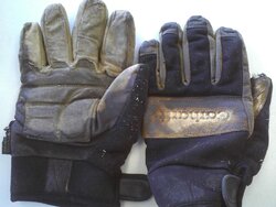 gloves 2007.jpg