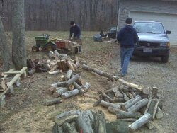 13 Boys Cutting Wood IMG00431.jpg