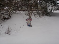 SNOW 2011 (14a).jpg