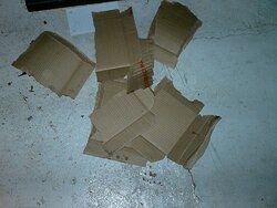 Tear up some cardboard.JPG