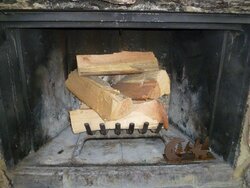 Have you seen this Wood fireplace insert? Help me choose