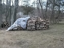 Seasoning wood on pallets