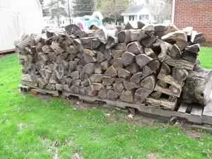 CL seasoned ash 2.jpg