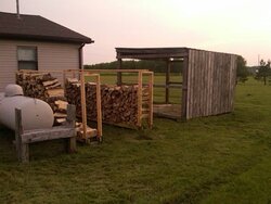 From Dog Kennel to Woodshed (New Baby Pics added)