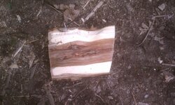 Identifying Wood (PICS ATTACHED)
