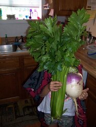 Celery & turnip