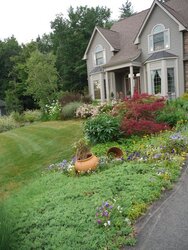 How to have a Green Lawn in New England? Found an Answer - See pics in last post here!!