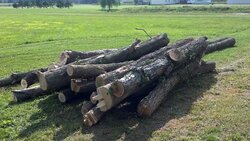 Log Length Load Toady