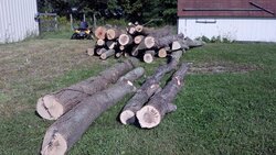 Log Length Load Toady