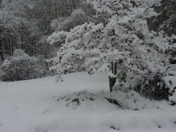 SNOW 006.jpg