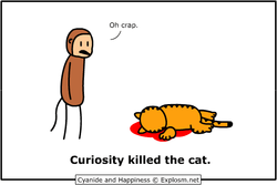 curiosity-killed-the-cat.png