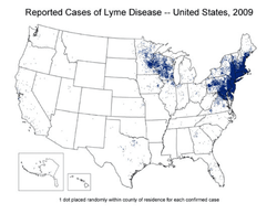 Lyme Incidence Distribution Map - 2009.png