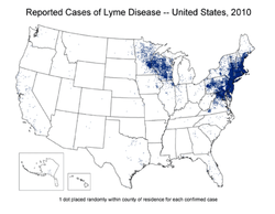 Lyme Incidence Distributuion Map - 2010.png