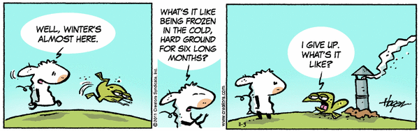 The BArn.gif