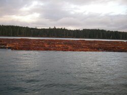 North Island Log Tow