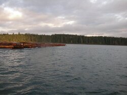 North Island Log Tow