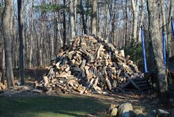 wood pile on 12192011.jpg