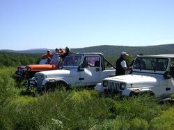 jeep4.jpg