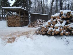 Firewood Ramblings 007 (Custom).jpg