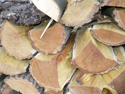 wood pile 1.jpg