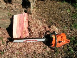 husky288xp with cedar slab.jpg