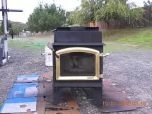 Honey Bear in Romona Ca..jpg