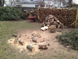Some Backyard Lumberjackin...