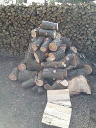 Some Backyard Lumberjackin...