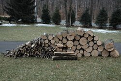 Nice Neighbor - Free Wood