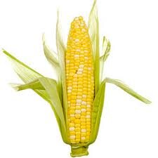 Corn1.jpg