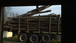 Wood: Buying cut, split, delivered vs. buying uncut logs vs. Scrounging