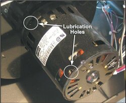 Lubricate the convection motor??