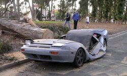 Tree-hit car.jpeg